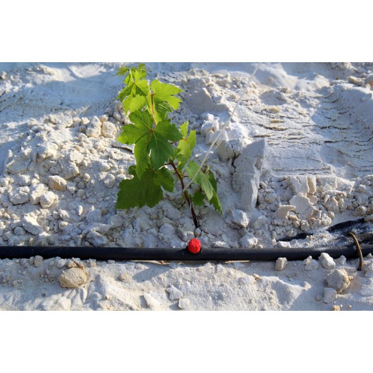 Крапельниця садова Presto-PS регульована 0-70 л/год (1702) - 7